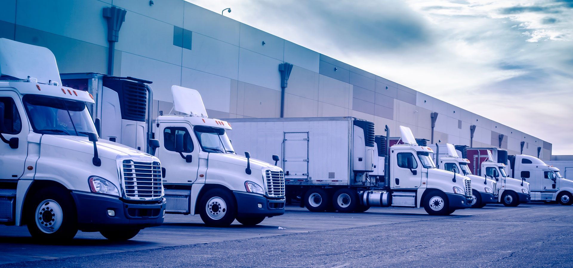 portfolio-6-1140x760